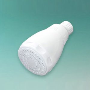 Shower Rose Head 2.5"